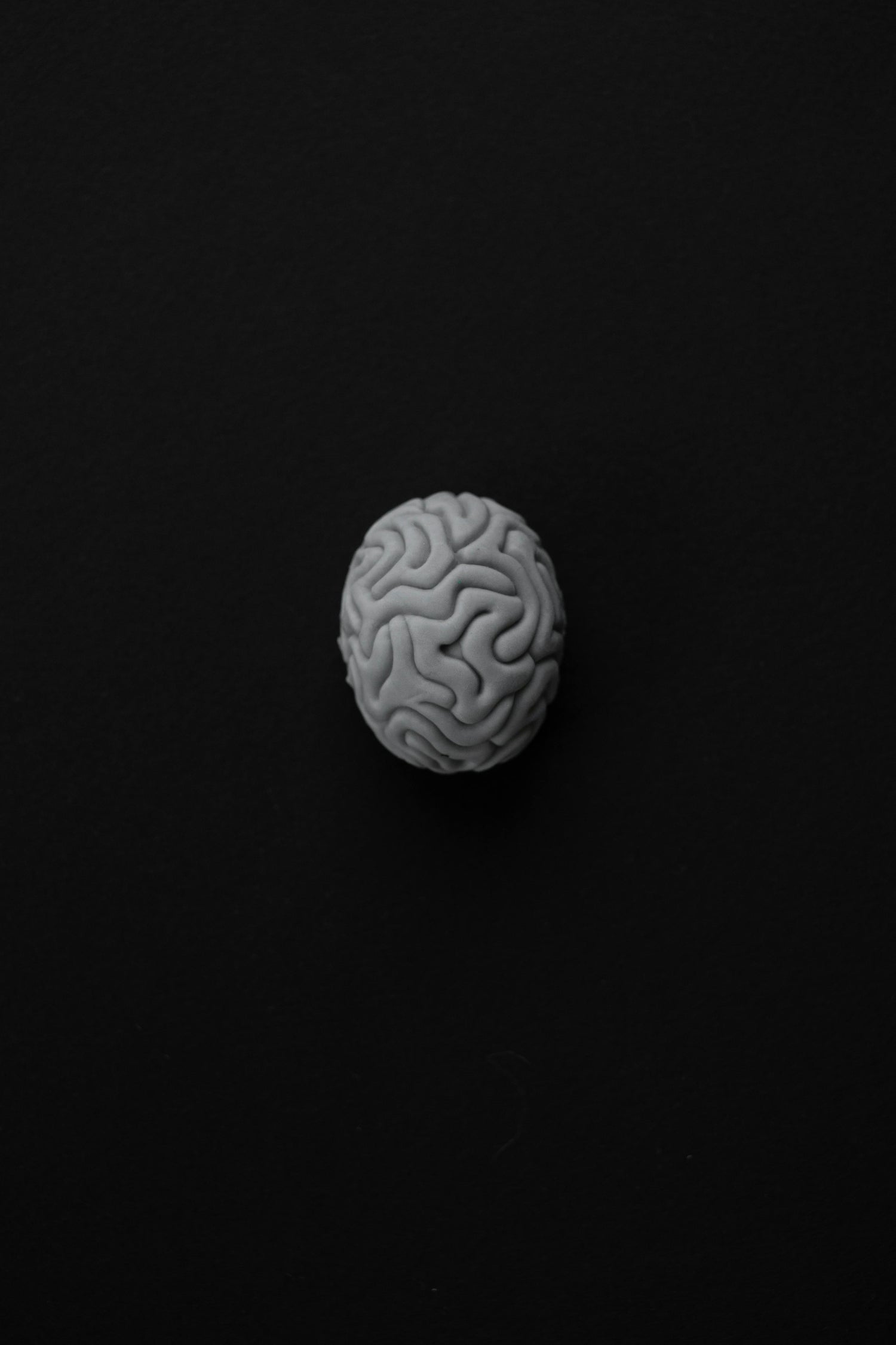 Lion’s Mane + Ashwagandha — The Brain and Body Stack for Modern Stress