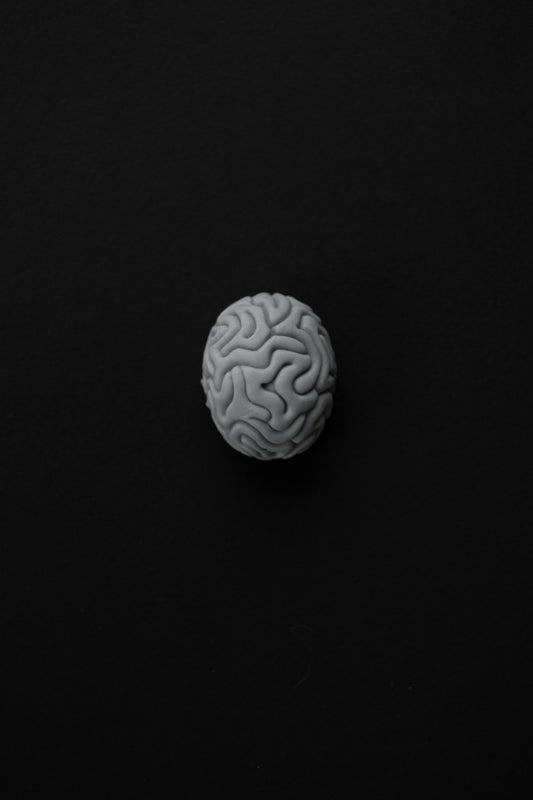 Lion’s Mane + Ashwagandha — The Brain and Body Stack for Modern Stress